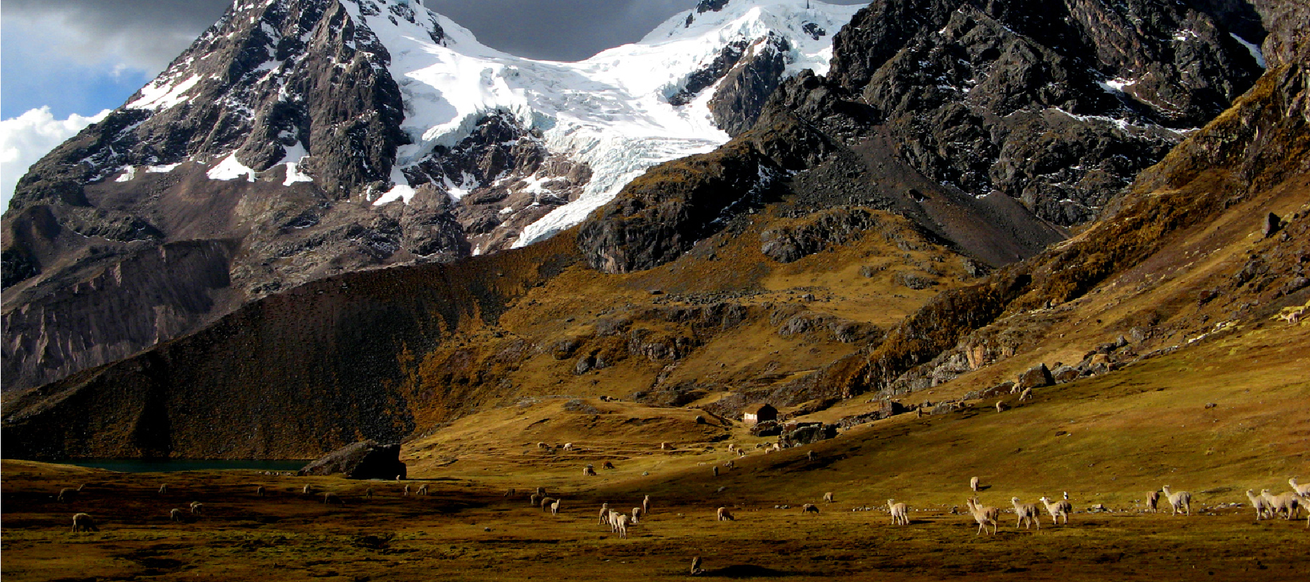 Imagen de presentación